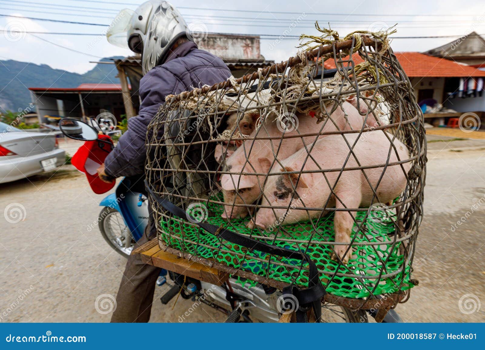 découvrez les différents modes de transport au vietnam, des bateaux traditionnels aux cyclo-pousse, en passant par les bus et le train. explorez le pays facilement et de manière authentique tout en profitant des paysages uniques.